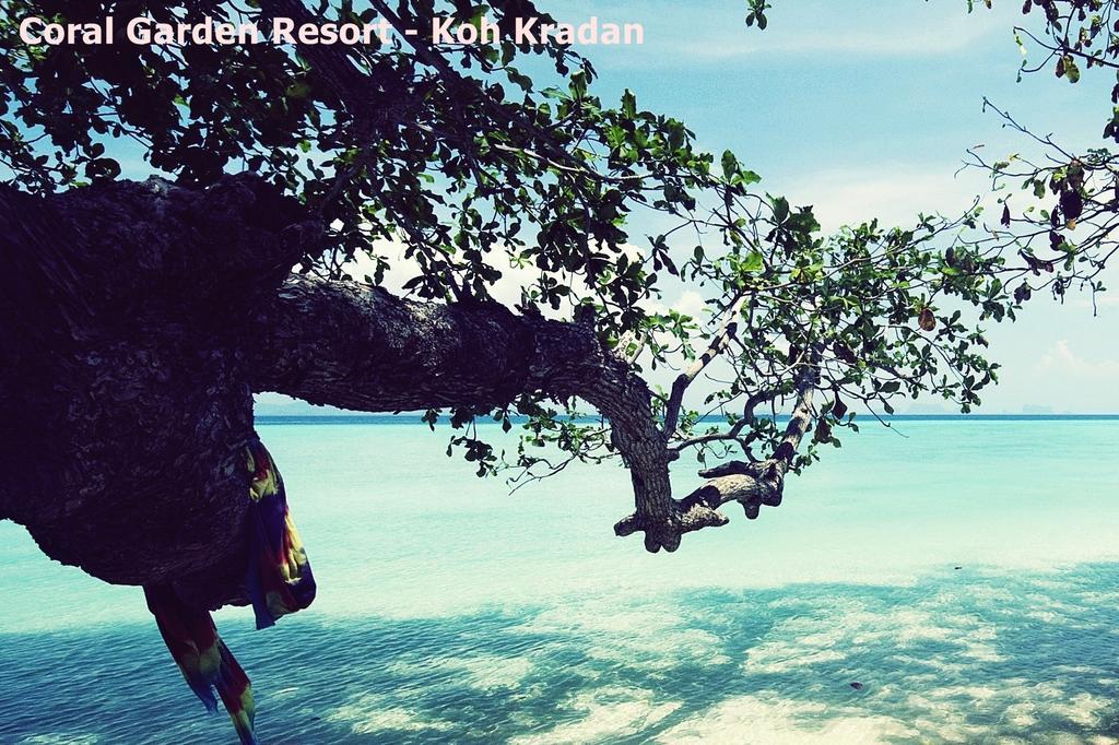 Coral Garden Resort Koh Kradan Dış mekan fotoğraf